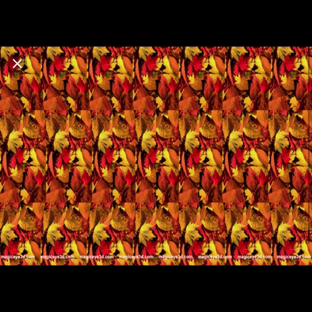 Meet your Posher, Dylan